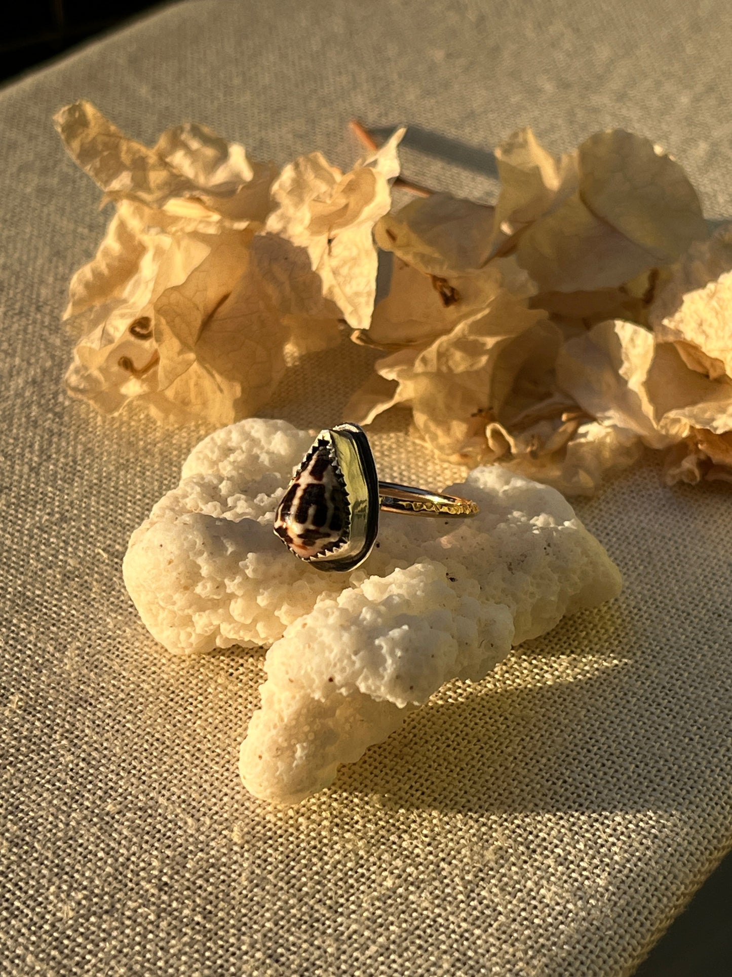 Chaldean Shell Ring | Sz. 7.8