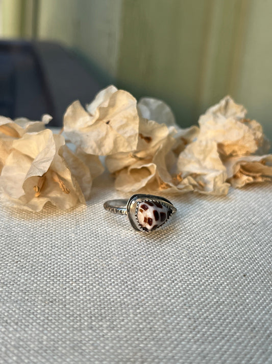 Hebrew Shell Ring MTO