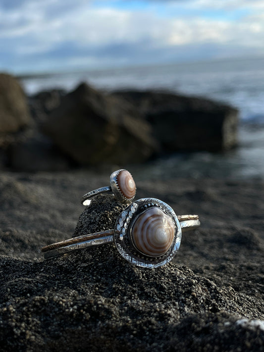 Cinnamon Bun Puka Shell Ring
