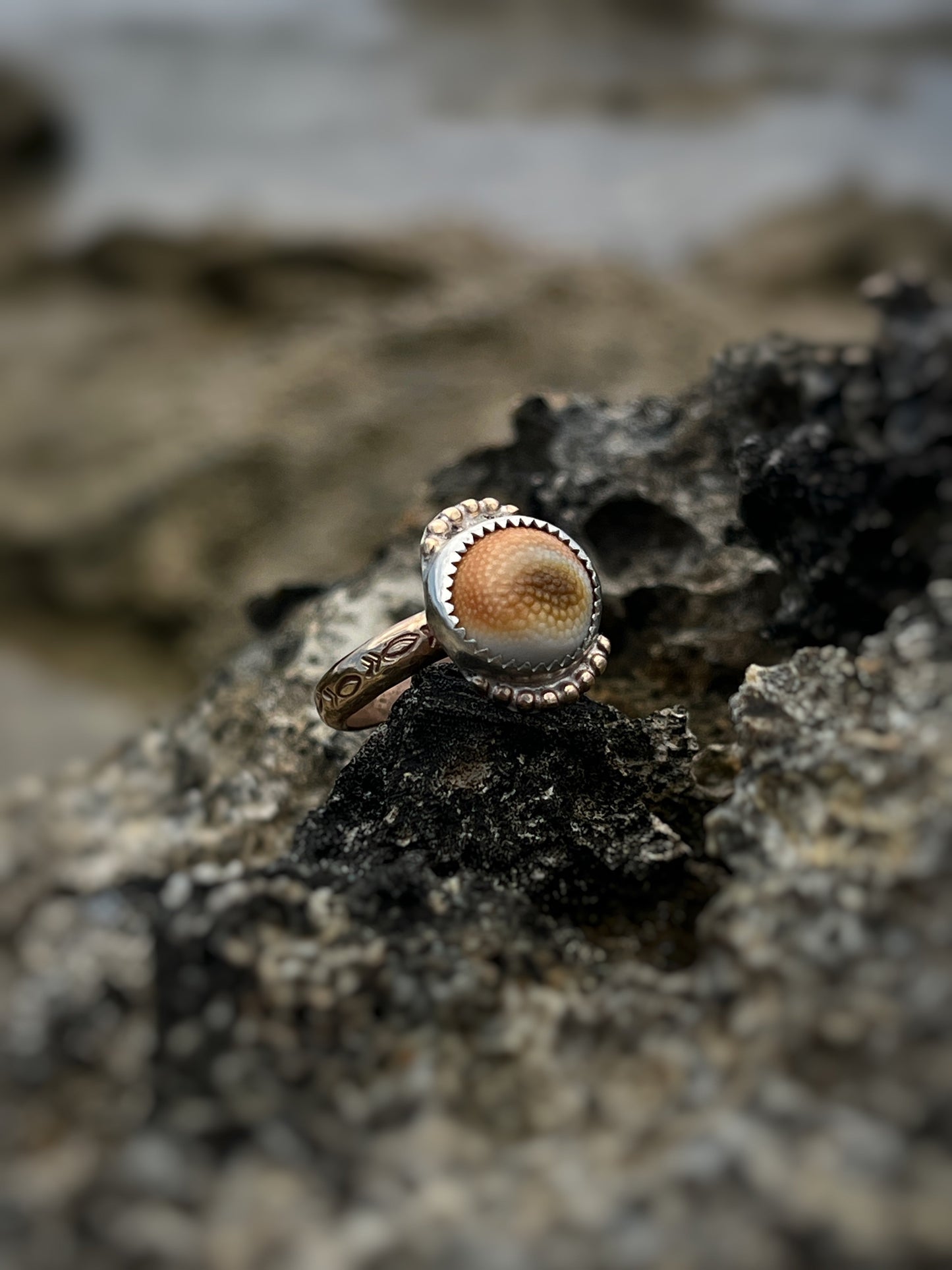 Operculum Mixed Metal Ring