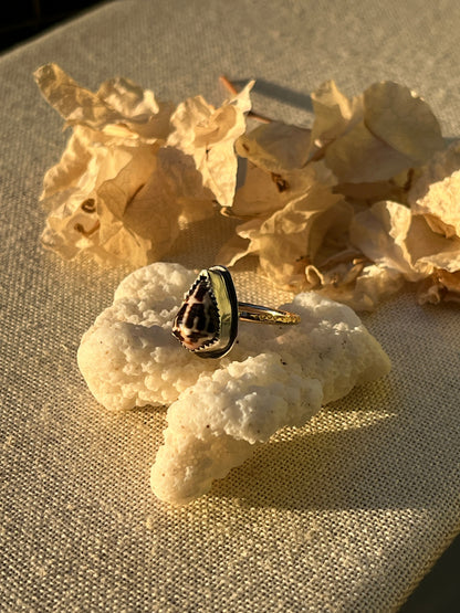 Chaldean Shell Ring | Sz. 7.8