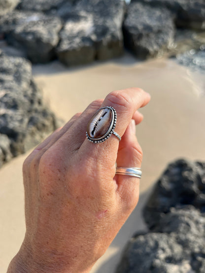 Hawaiian Snakehead Cowrie Ring MTO