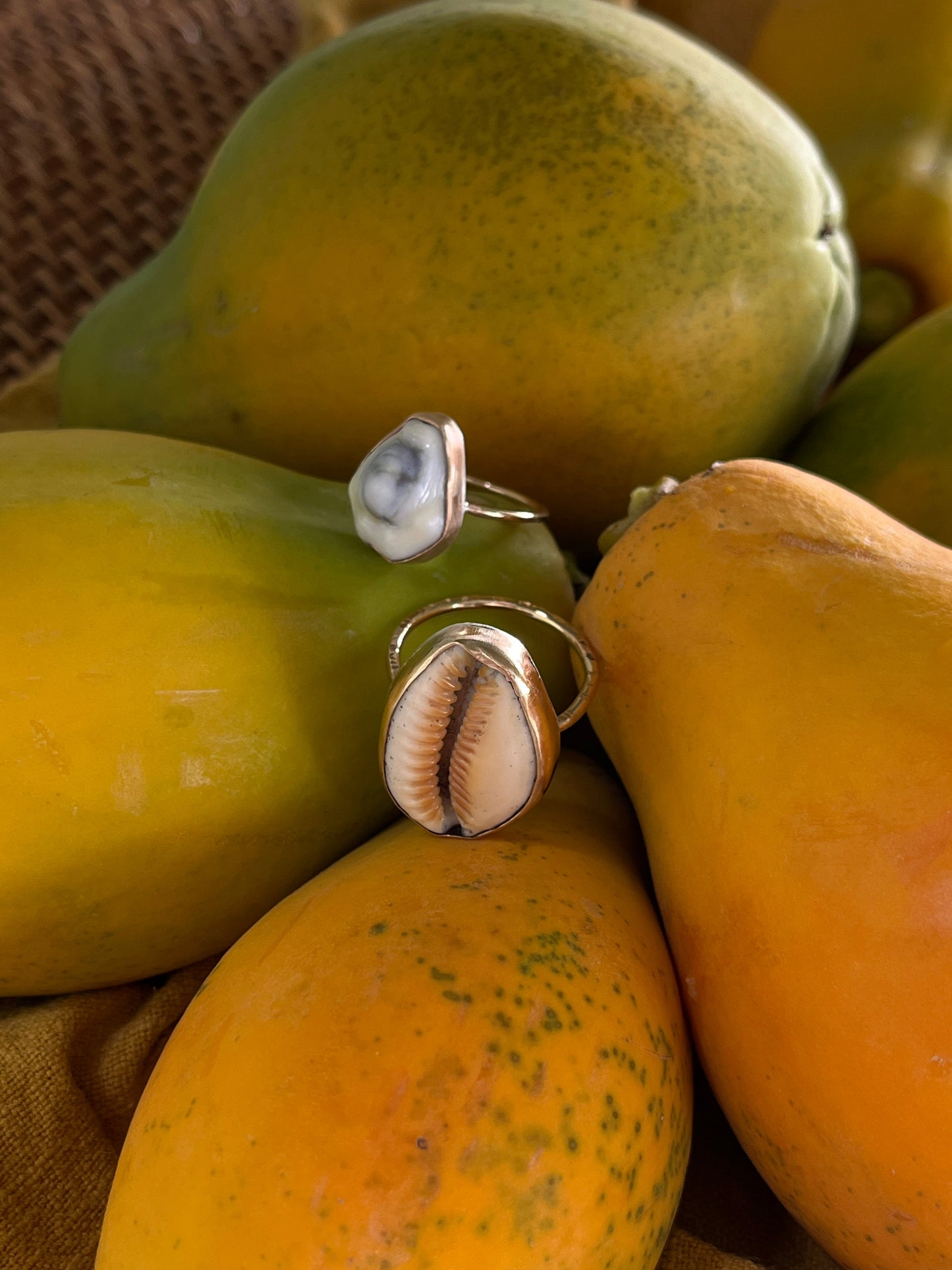 Money Cowrie Ring