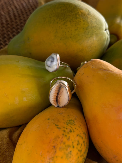 Money Cowrie Ring