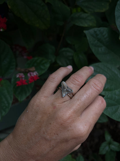 Shark Tooth Ring (sterling / 14k gf)