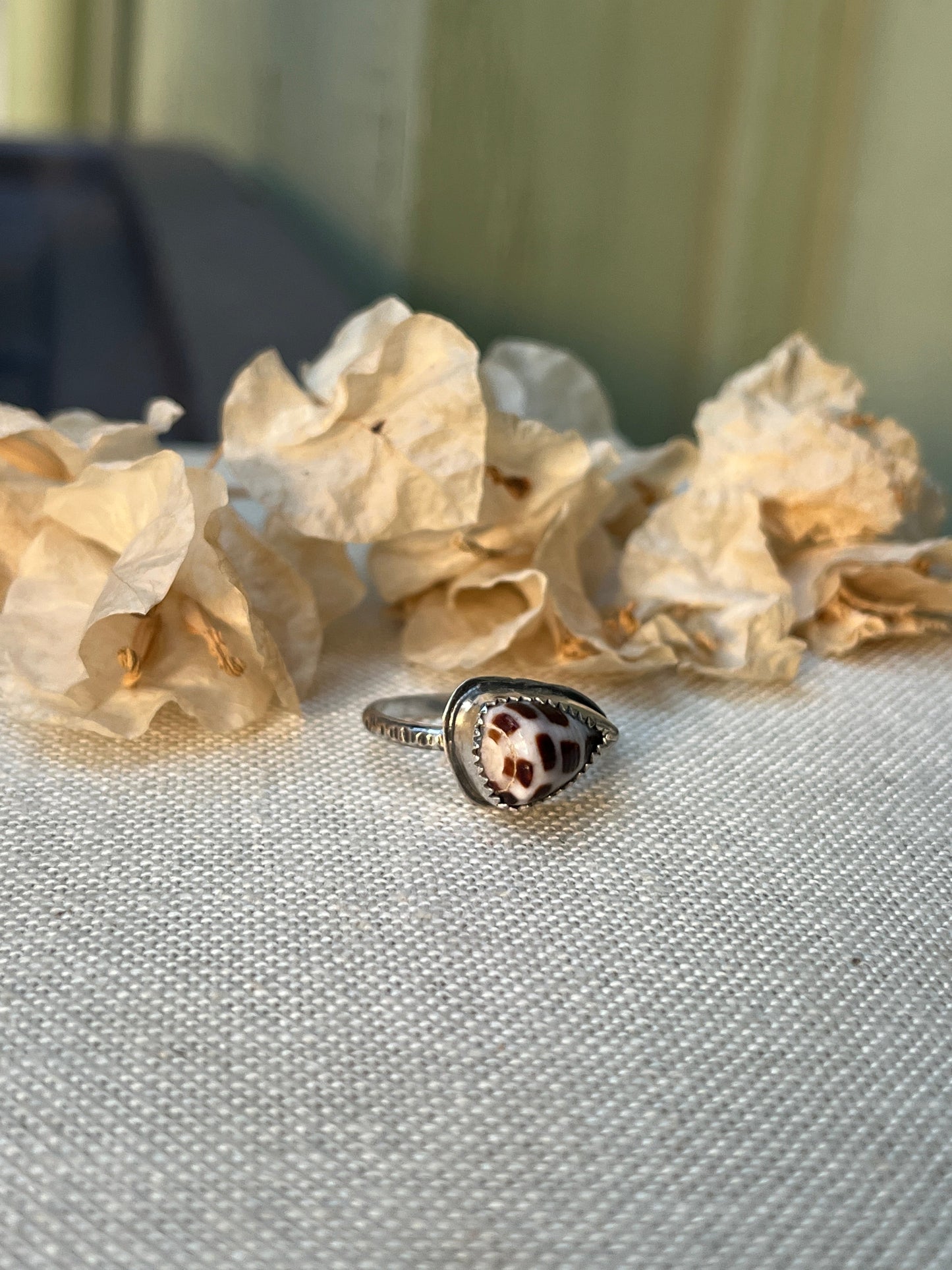 Hebrew Shell Ring MTO