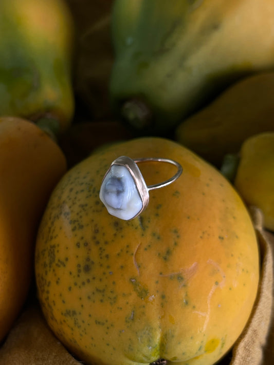 Money Cowrie Ring
