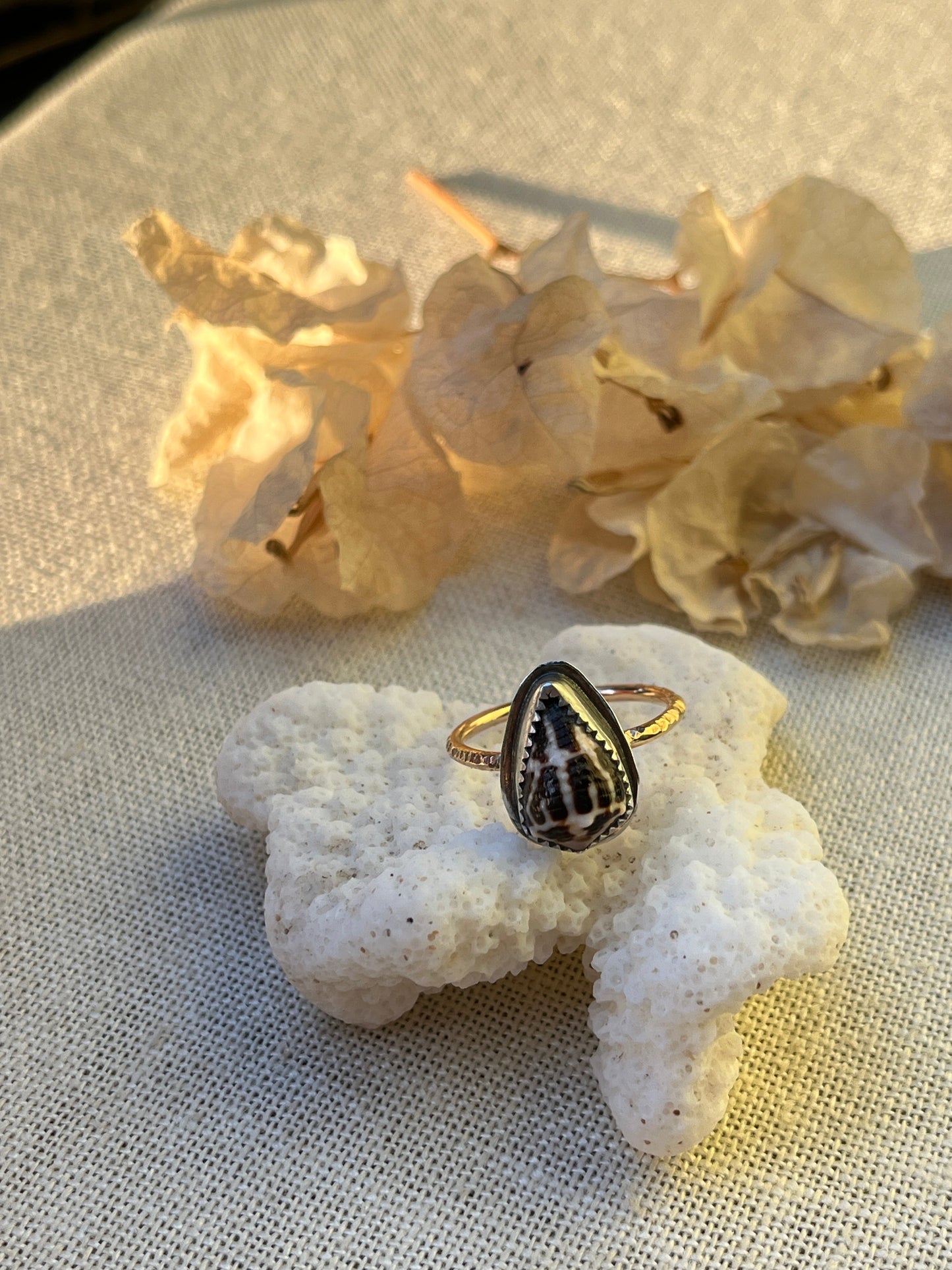 Chaldean Shell Ring | Sz. 7.8