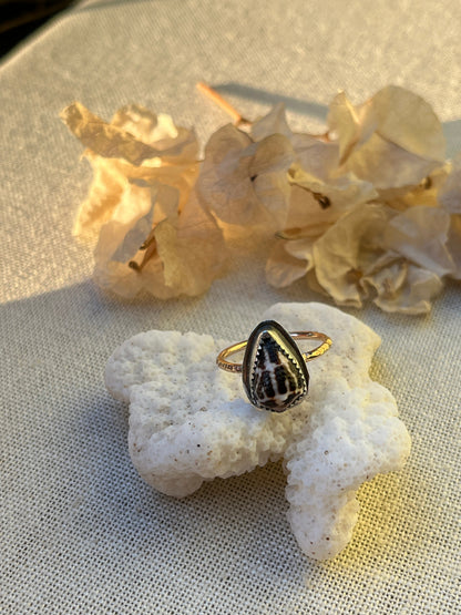 Chaldean Shell Ring | Sz. 7.8