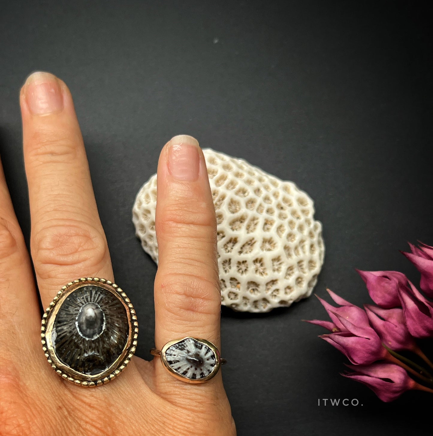 'Opihi Shell Ring MTO