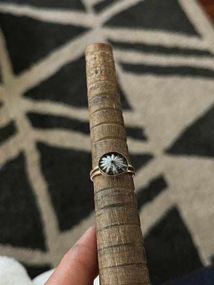 Double Band 'Opihi Shell Ring MTO