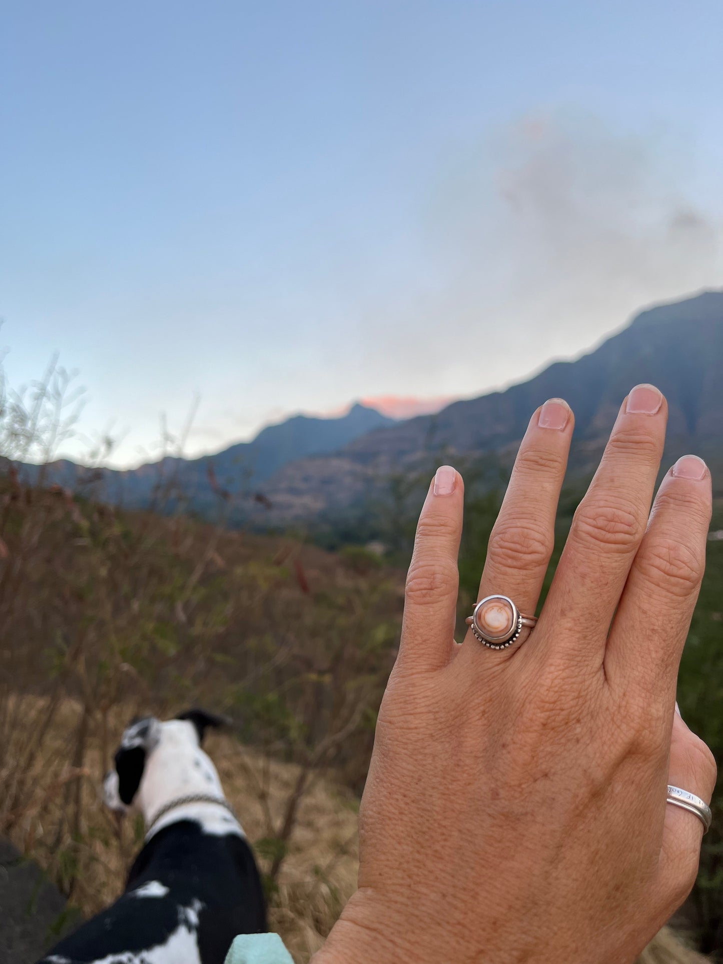 Cinnamon Puka Shell Ring MTO