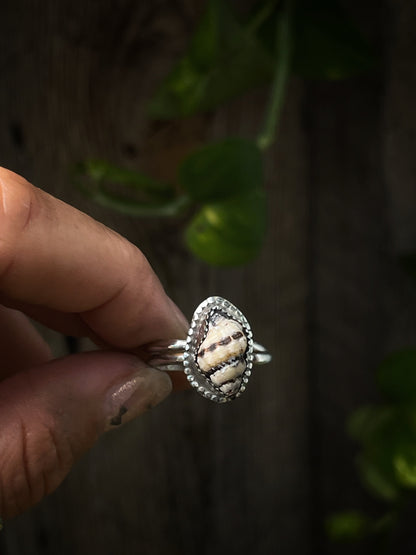 Baby Hawaiian Conch Shell Ring MTO