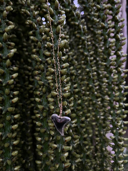 Mixed Metal Shark Tooth Necklace