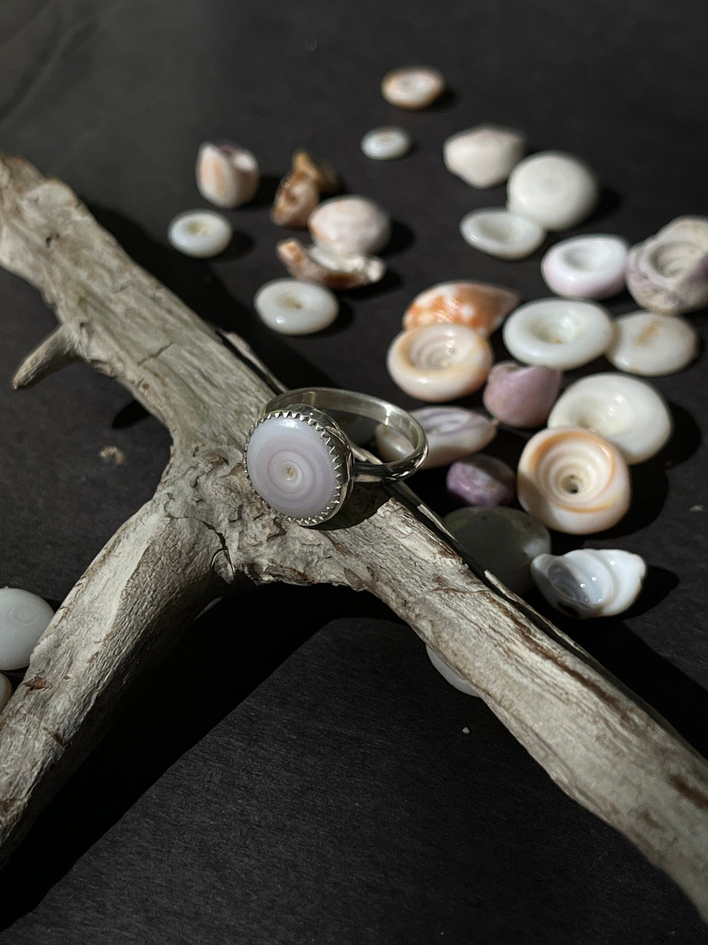 Hawaiian Puka Shell Ring