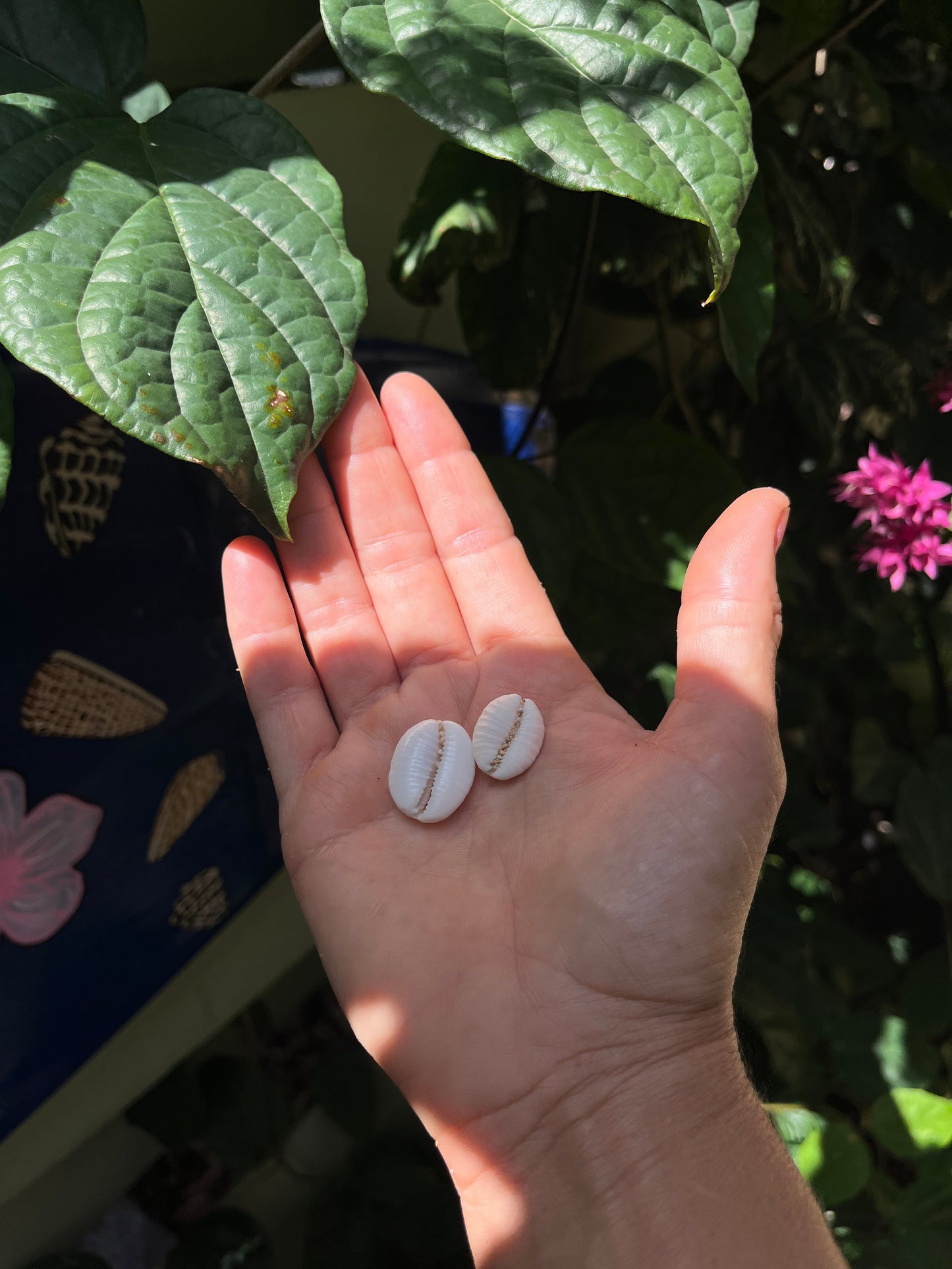 Granulated Cowrie Ring MTO