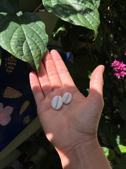Granulated Cowrie Ring MTO