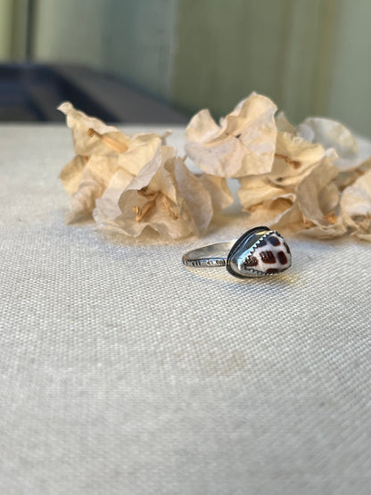 Hebrew Shell Ring MTO