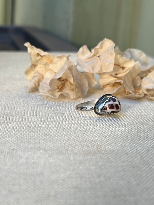Hebrew Shell Ring MTO