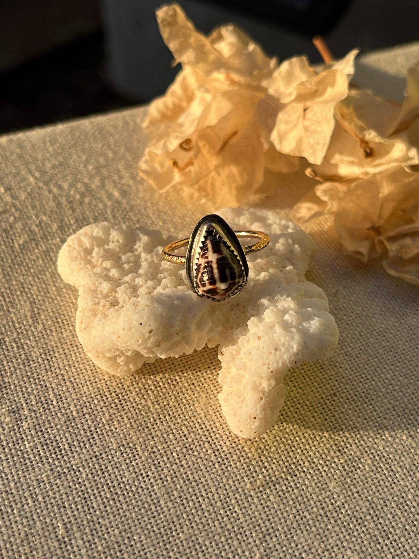 Chaldean Shell Ring | Sz. 7.8