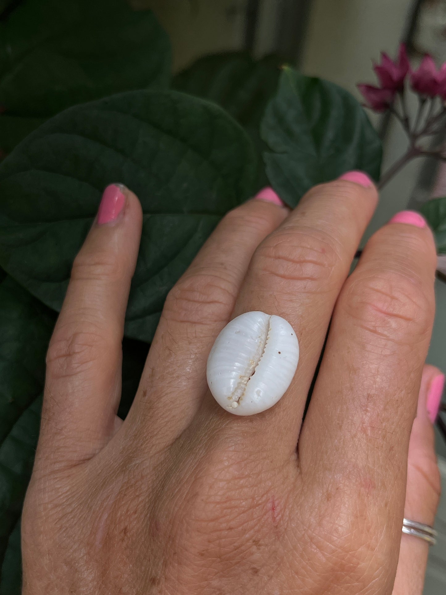Granulated Cowrie Ring MTO