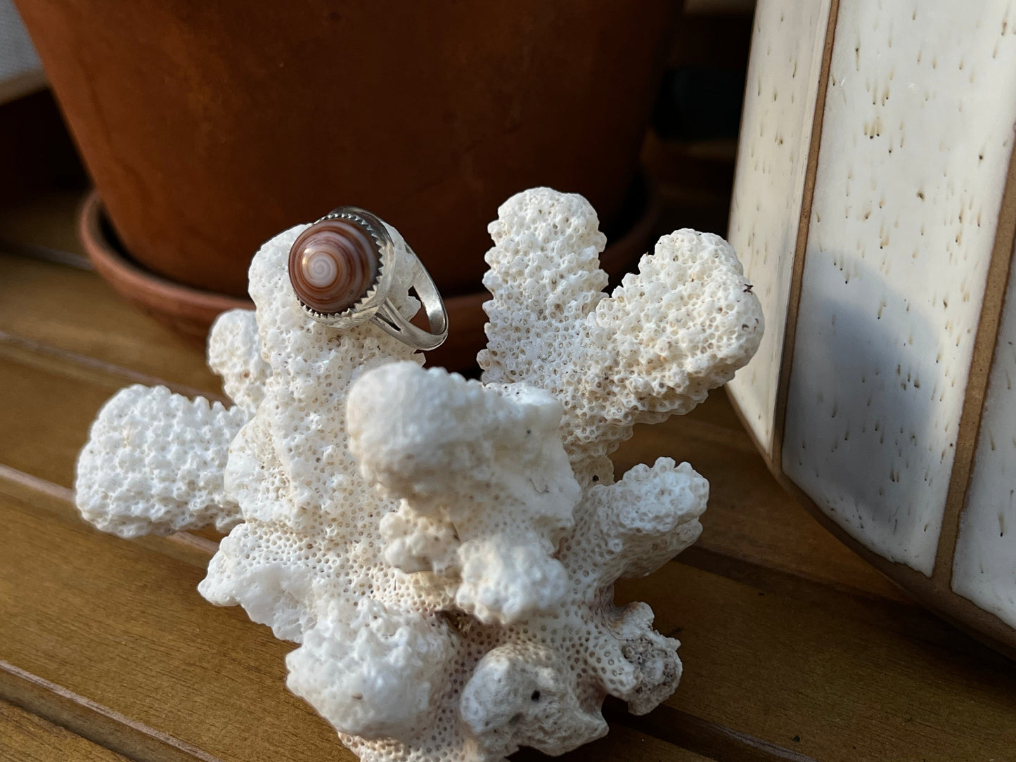 Puka Shell Ring