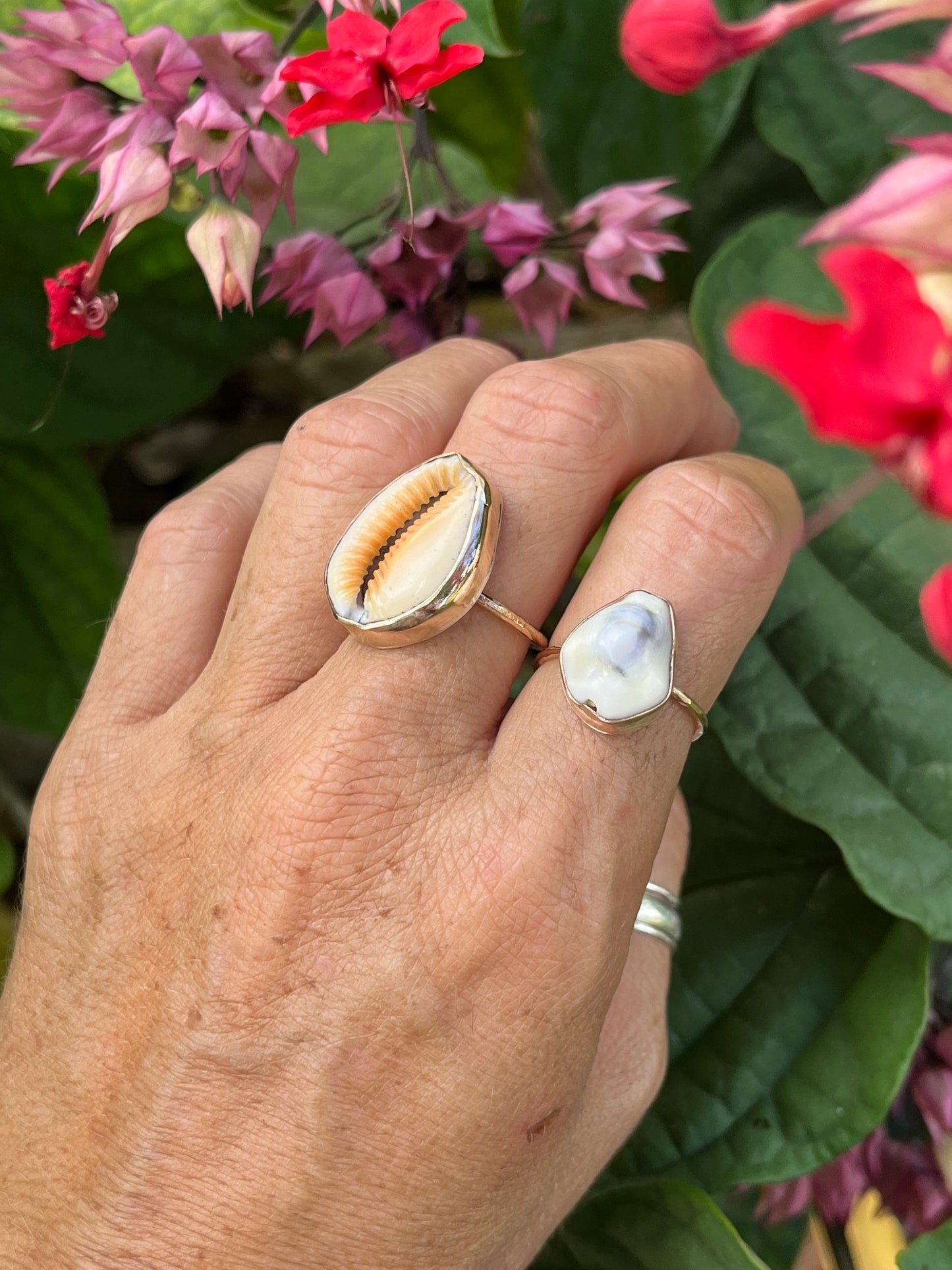 Money Cowrie Ring