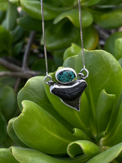 Hand Forged Shark Tooth & Turquoise Necklace