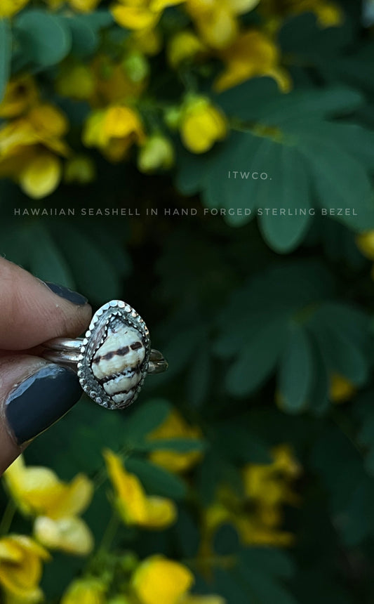 Baby Hawaiian Conch Shell Ring MTO