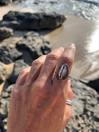 Hawaiian Snakehead Cowrie Ring MTO