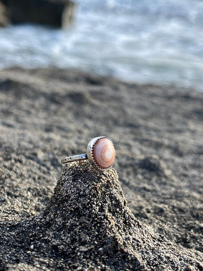 Cinnamon Bun Puka Shell Ring