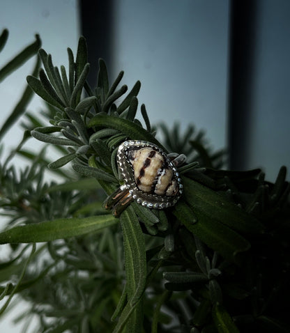 Baby Hawaiian Conch Shell Ring MTO
