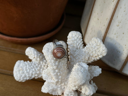 Puka Shell Ring