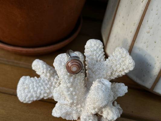 Puka Shell Ring