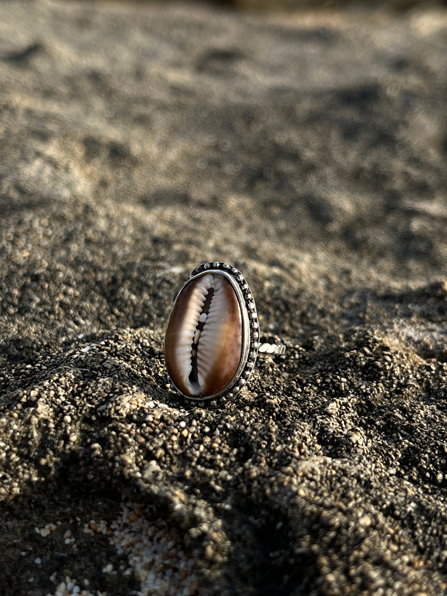 Hawaiian Snakehead Cowrie Ring MTO