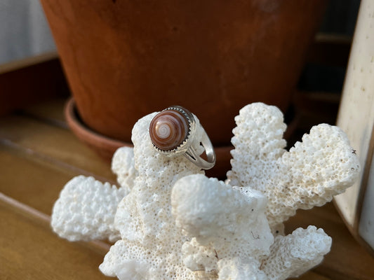 Puka Shell Ring