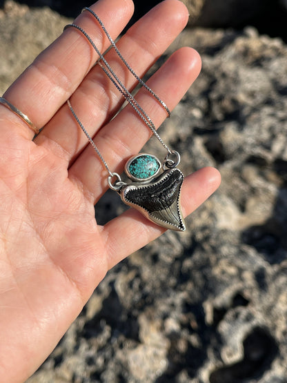 Hand Forged Shark Tooth & Turquoise Necklace