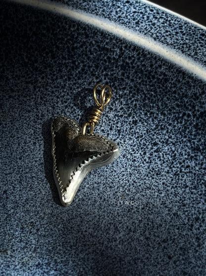 Mixed Metal Shark Tooth Necklace