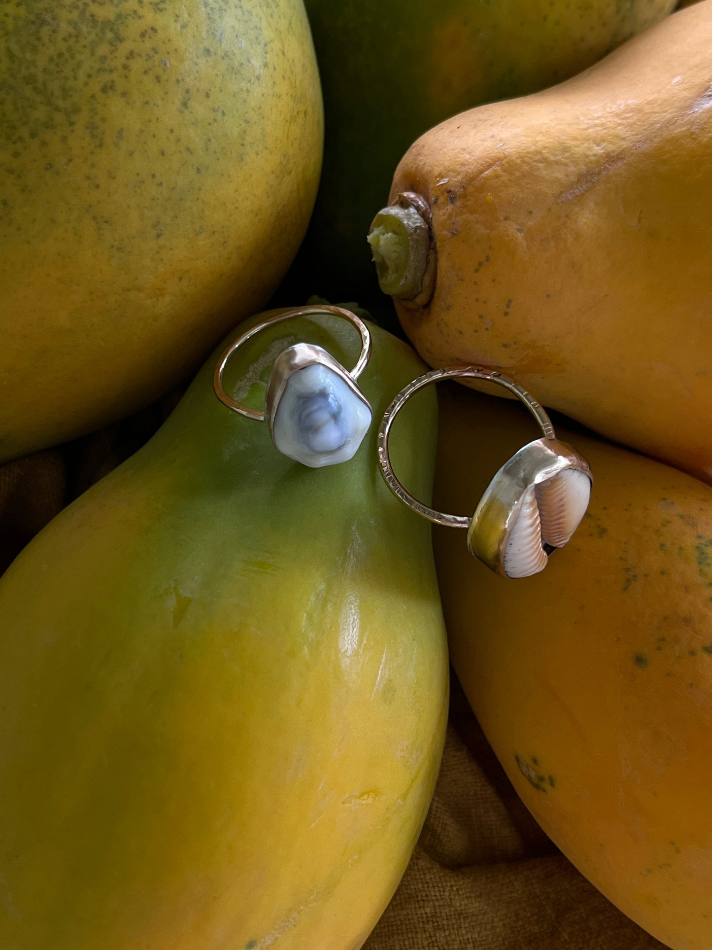 Money Cowrie Ring