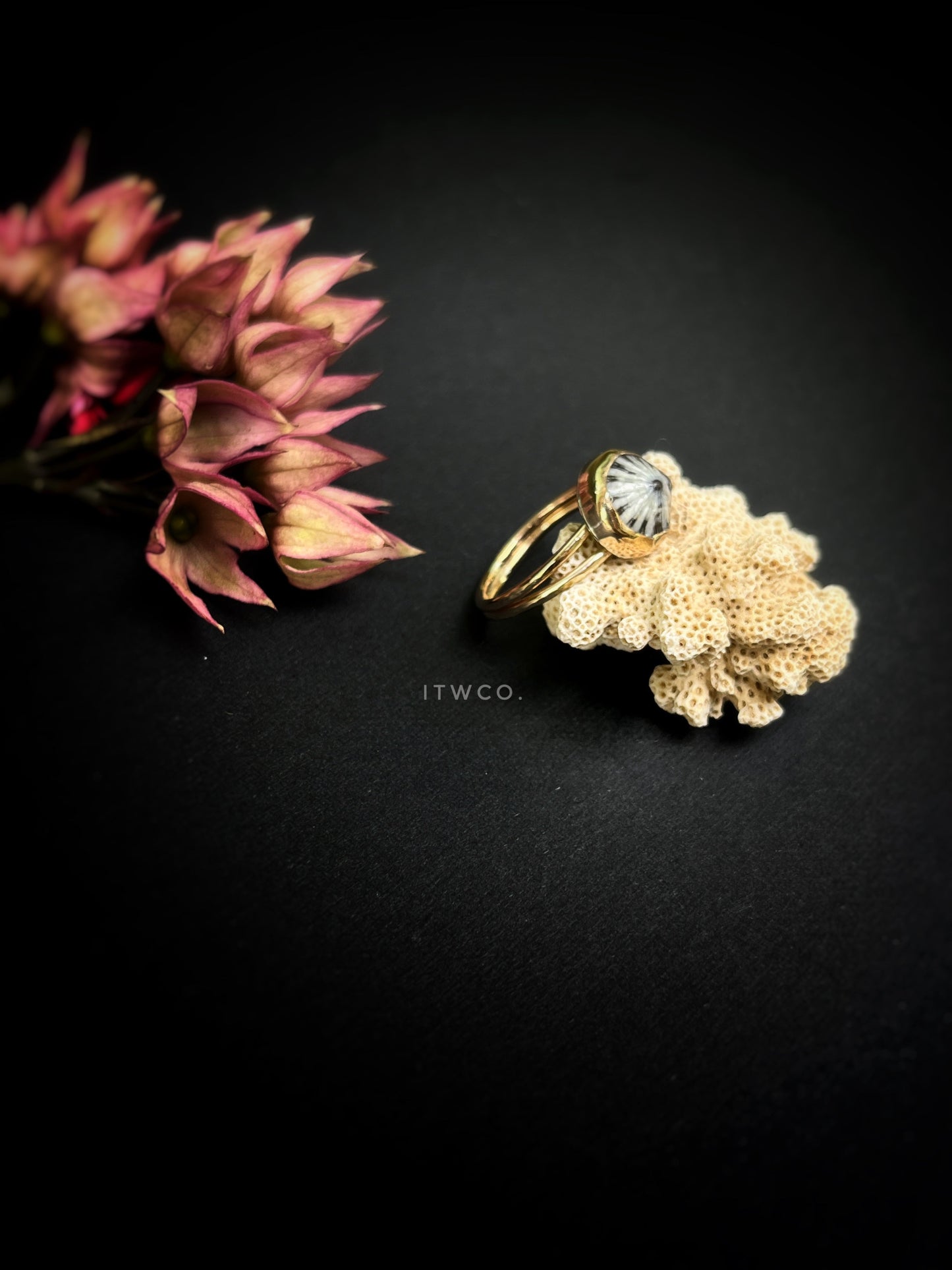 Double Band 'Opihi Shell Ring MTO
