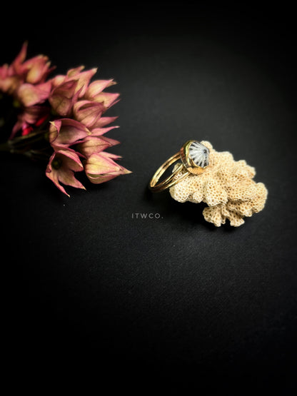 Double Band 'Opihi Shell Ring MTO