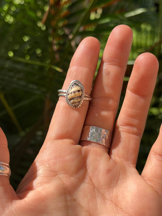 Baby Hawaiian Conch Shell Ring MTO