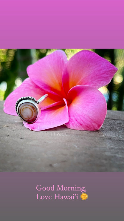 Cinnamon Puka Shell Ring MTO