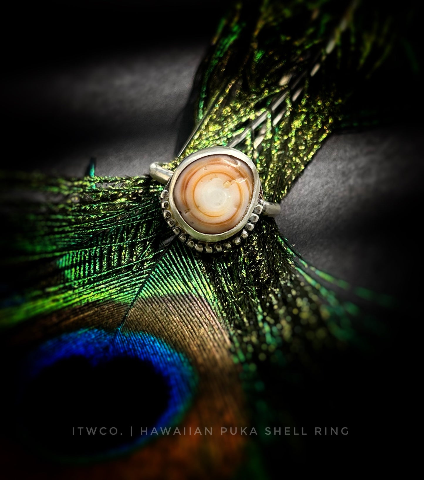Cinnamon Puka Shell Ring MTO