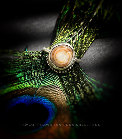 Cinnamon Puka Shell Ring MTO