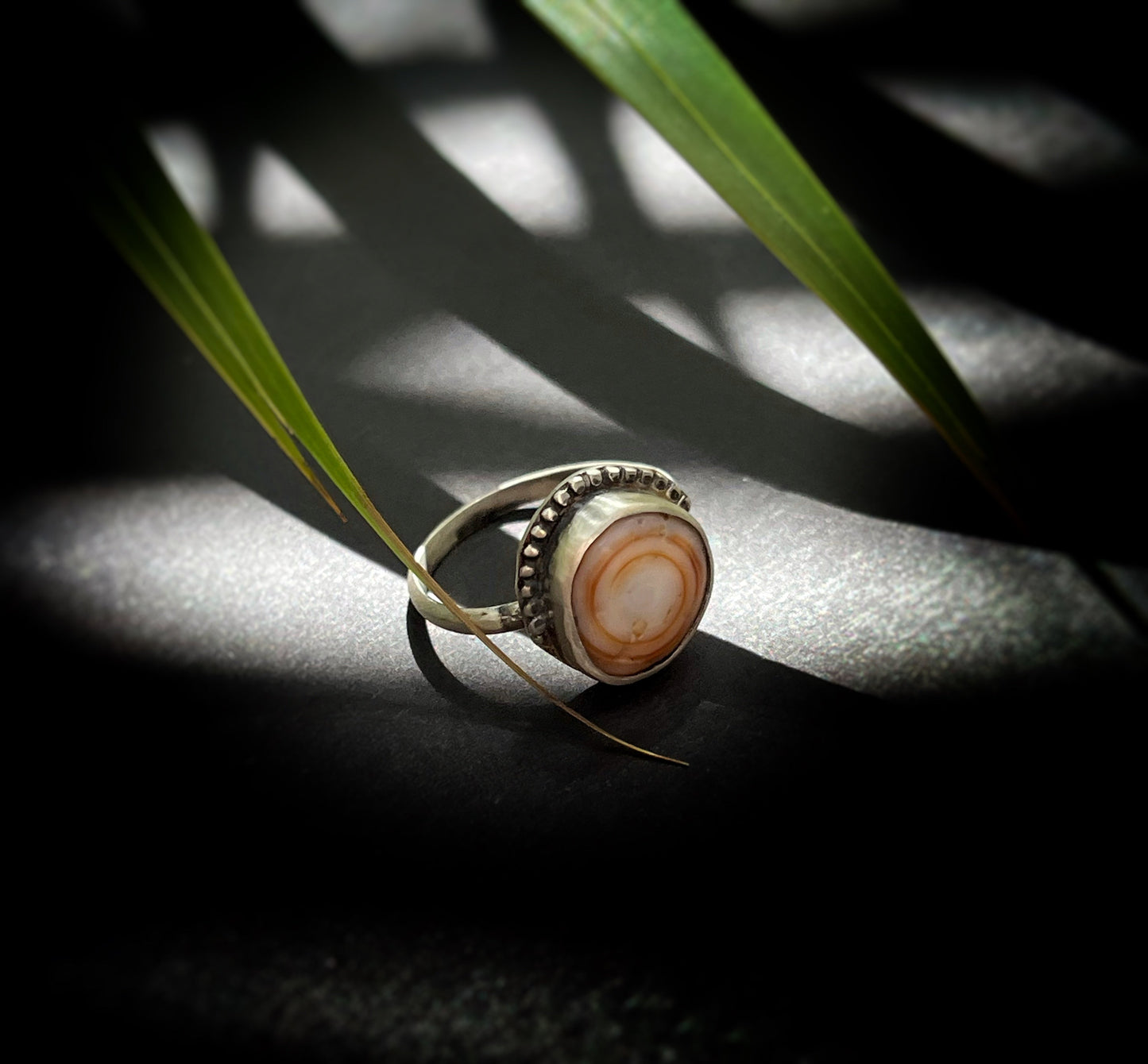 Cinnamon Puka Shell Ring MTO