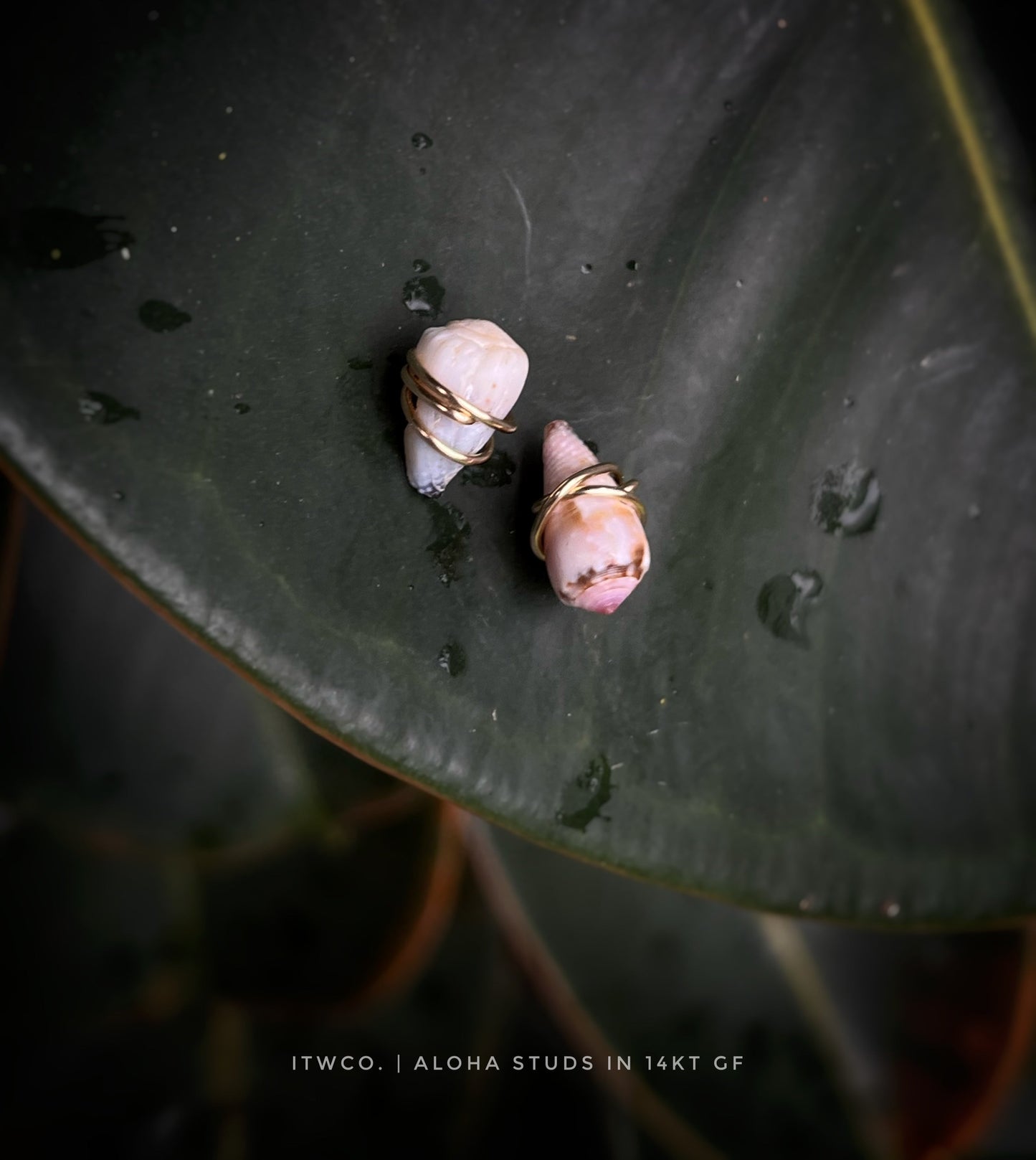 Aloha Studs MTO